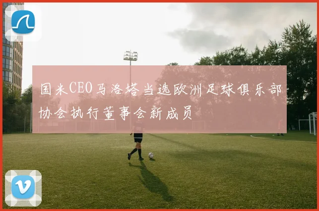 国米CEO马洛塔当选欧洲足球俱乐部协会执行董事会新成员